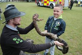 quirks-animal-roadshow-1