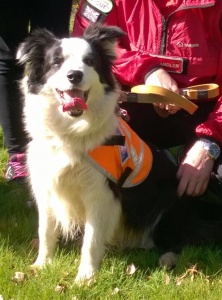 search-rescue-dogs-6