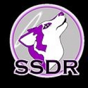 Saints Sled Dog Rescue