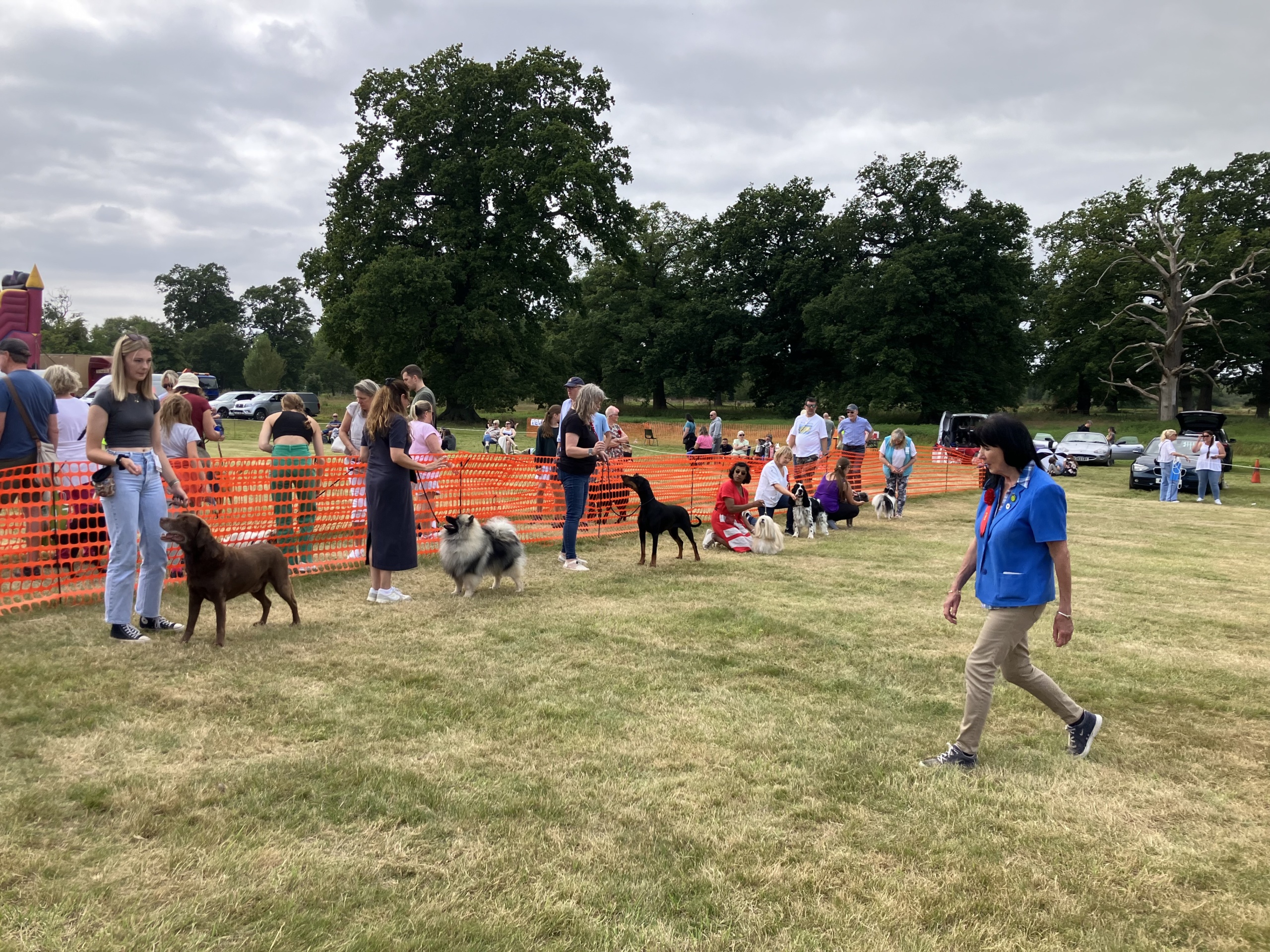 2025 Dog Show Judging